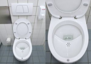 Toilette à diversion d'urine